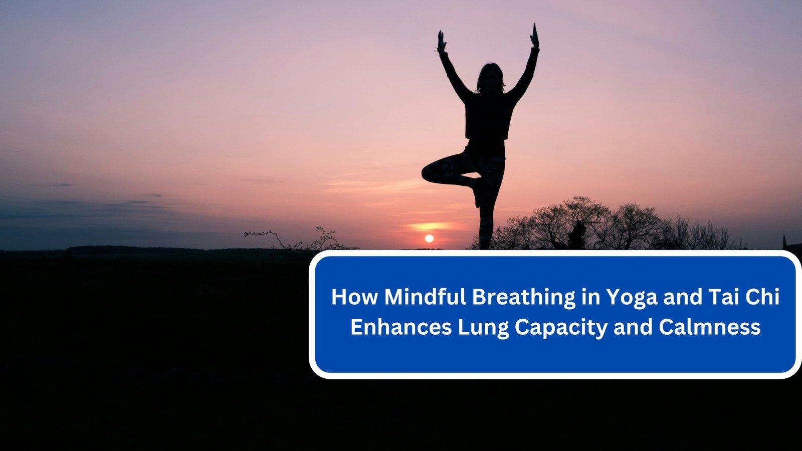 How Mindful Breathing in Yoga and Tai Chi Enhances Lung Capacity and Calmness