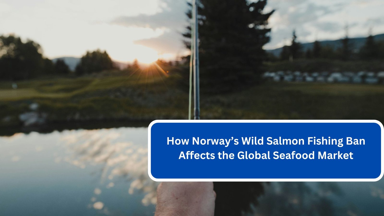 How Norway’s Wild Salmon Fishing Ban Affects the Global Seafood Market