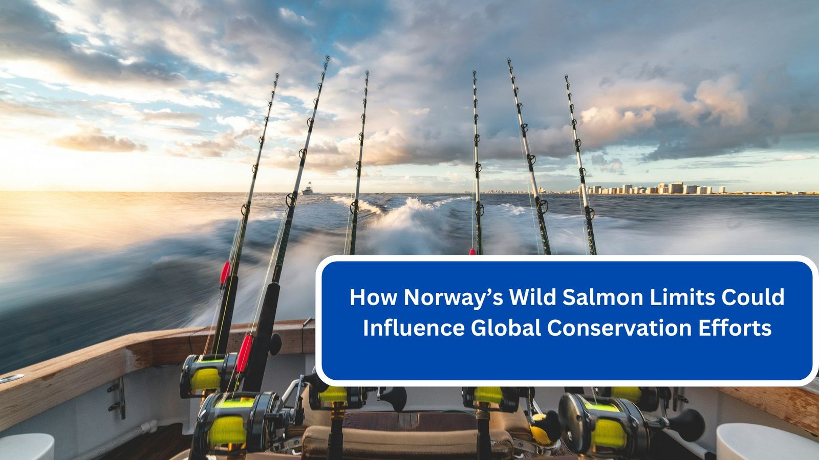 How Norway’s Wild Salmon Limits Could Influence Global Conservation Efforts