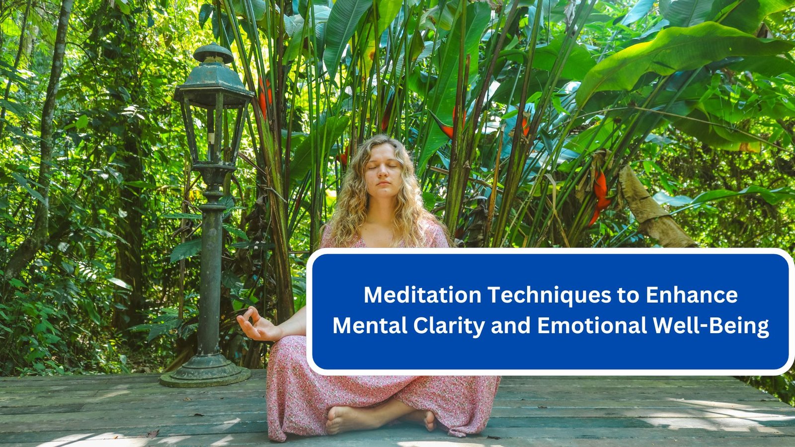 Meditation Techniques to Enhance Mental Clarity and Emotional Well-Being