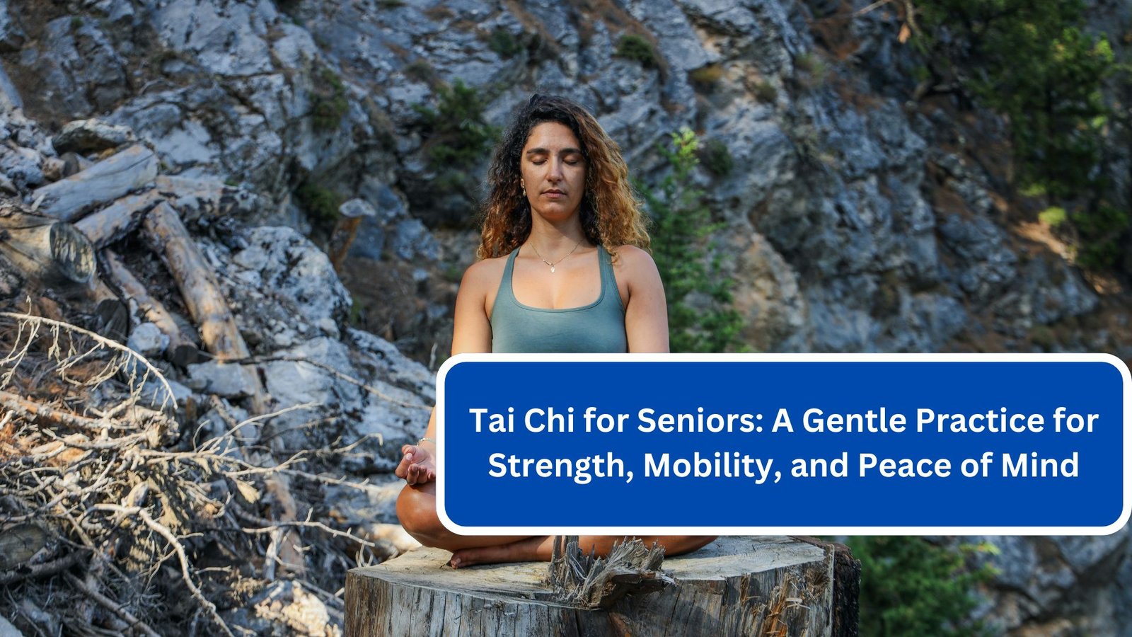 Tai Chi for Seniors A Gentle Practice for Strength, Mobility, and Peace of Mind