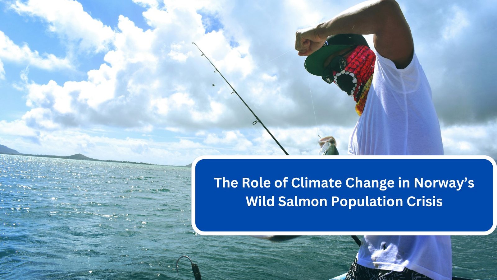 The Role of Climate Change in Norway’s Wild Salmon Population Crisis